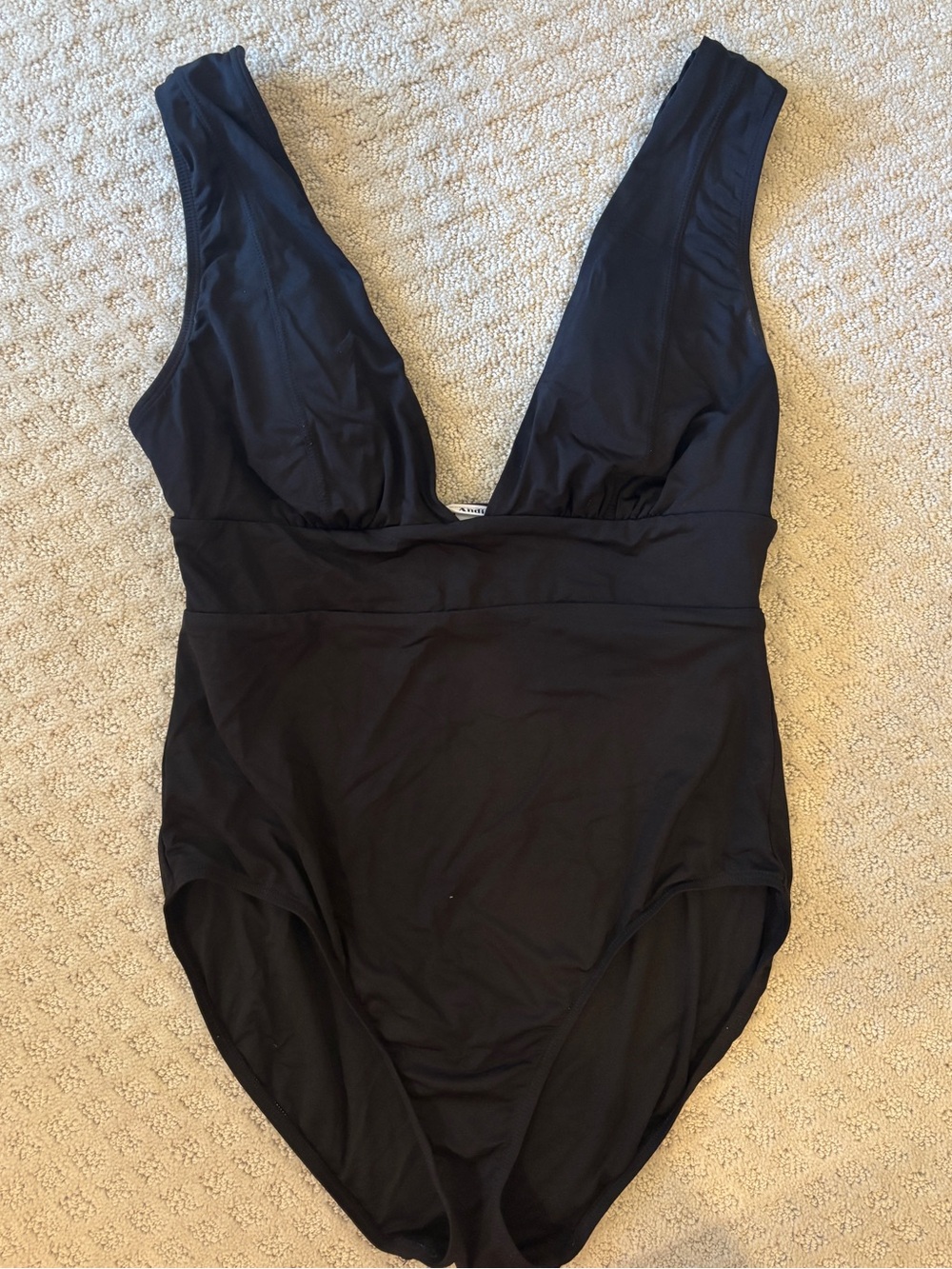 Andie Black Deep V One-Piece Swimsuit